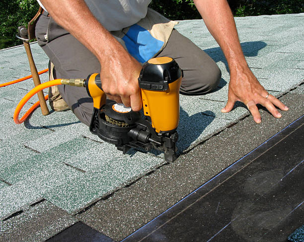 Best Roof Gutter Cleaning  in Nevada, MO