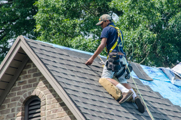 Best Gutter Installation and Roofing  in Nevada, MO